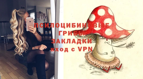 ALPHA PVP Беломорск