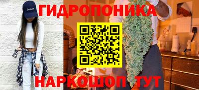 твердый Кингисепп