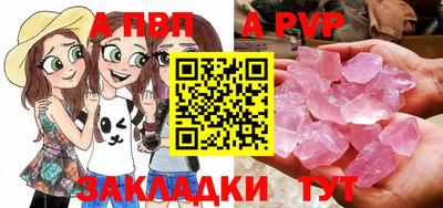 твердый Кингисепп