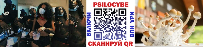 купить наркоту  Кузнецк  Галлюциногенные грибы GOLDEN TEACHER 