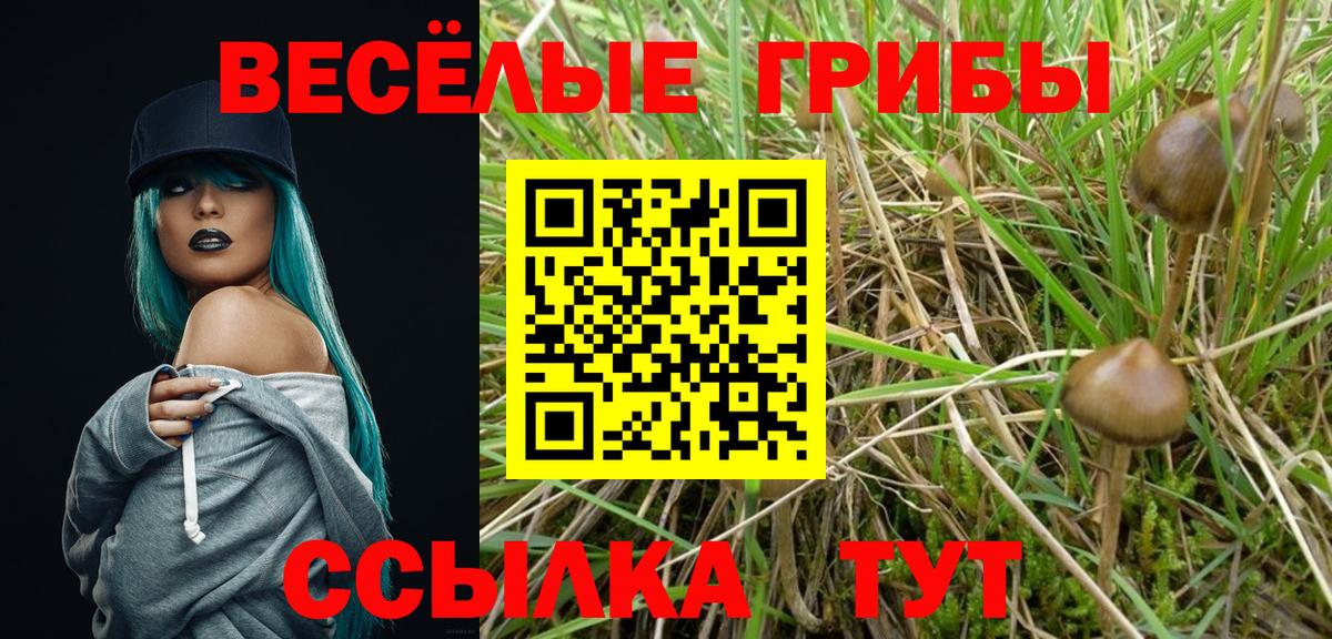 Псилоцибиновые грибы MAGIC MUSHROOMS  Псилоцибиновые грибы ЛСД  Вход с VPN  Кузнецк 